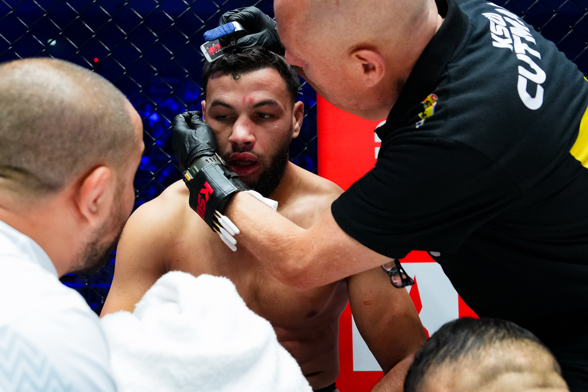 <div></div>