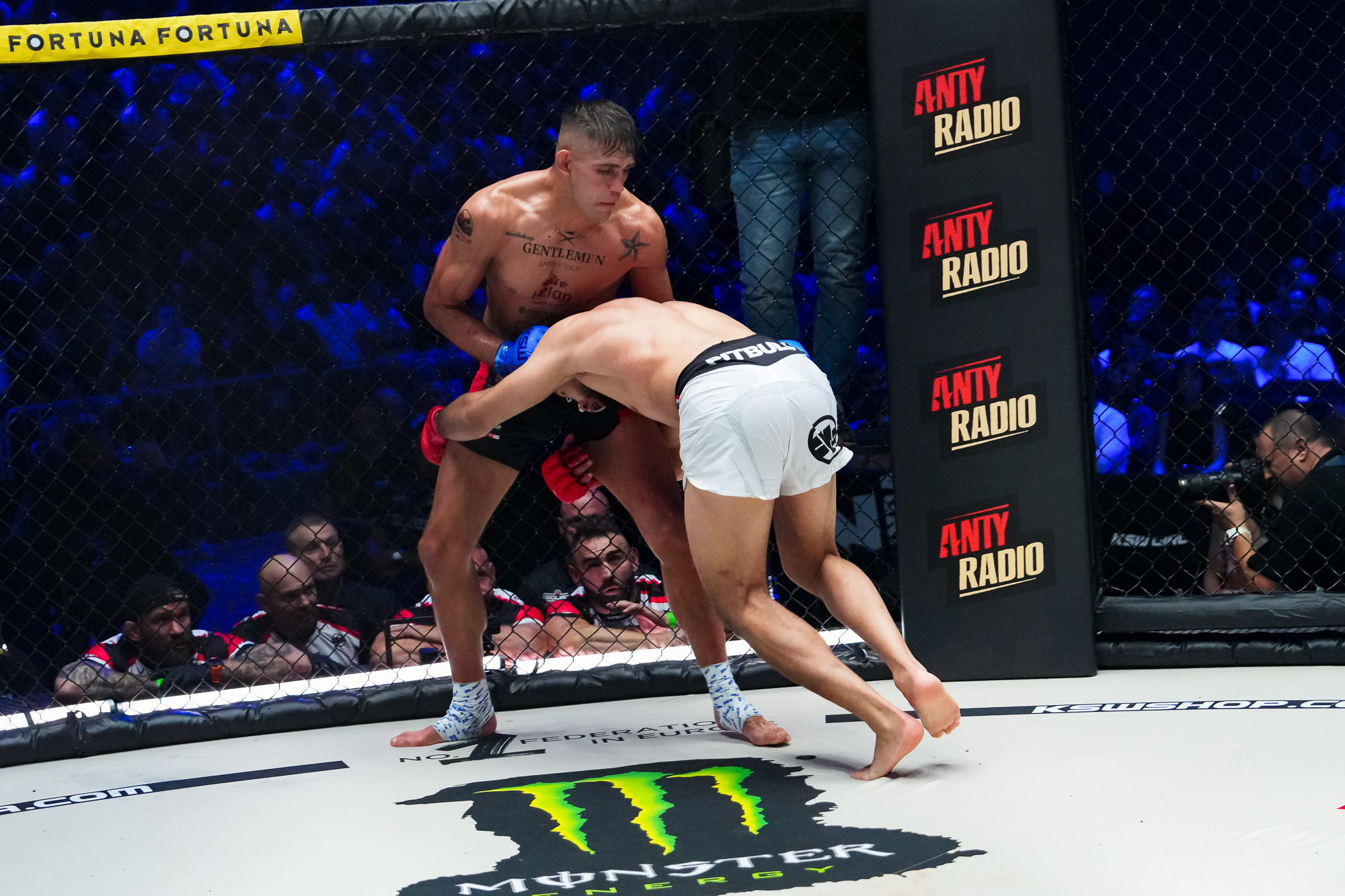 <div></div>